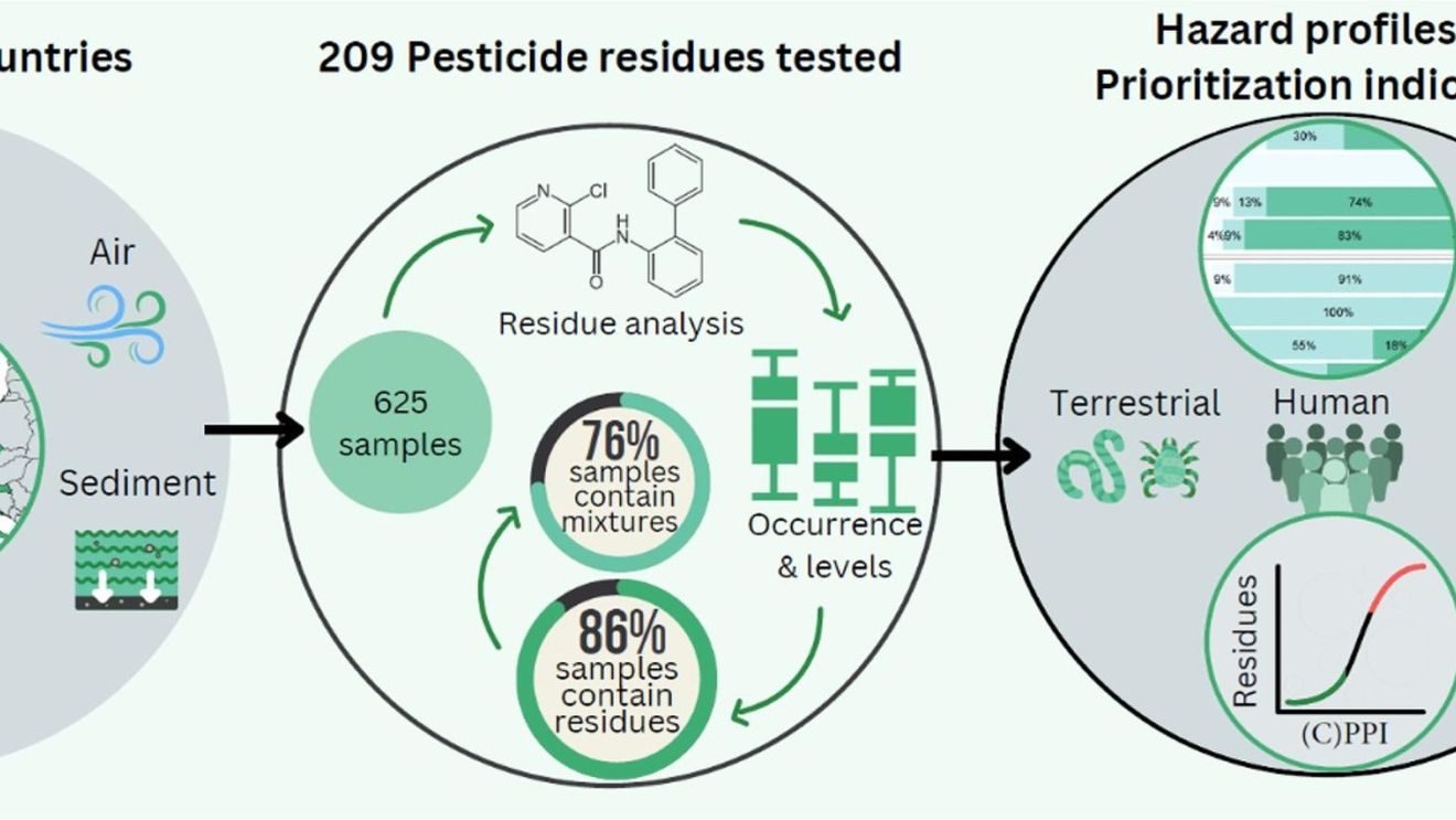 Pesticide invizibile în casele europenilor: un „cocktail toxic” cu aproape 200 de substanțe descoperit în praf