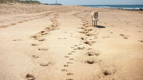 Spania ar putea trece de la un climat mediteranean la unul de stepă sau chiar deșertic (studiu)