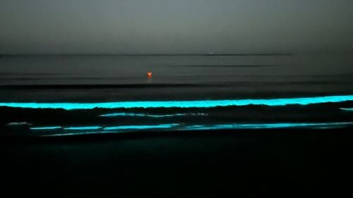 VIDEO Fenomen spectaculos pe litoral: apa mării a devenit strălucitoare, datorită bioluminiscenței / În Marea Neagră, fenomenul nu este foarte comun și apare datorită unor microorganisme marine