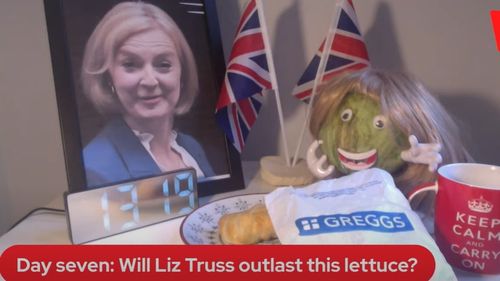 Concurs bizar lansat de un tabloid britanic: Salata Iceberg cu perucă blondă a rezistat mai mult decât Liz Truss