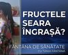 Cele mai răspândite 10 mituri despre alimentație, demontate de știință