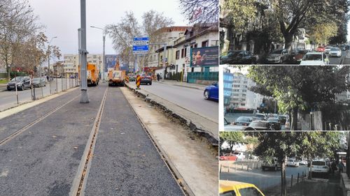 Linia 5 de tramvai din București: Refugii lărgite vs. tăierea a 32 de copaci sănătoși, inclusiv un platan de 60-70 de ani. Ce soluții alternative există?