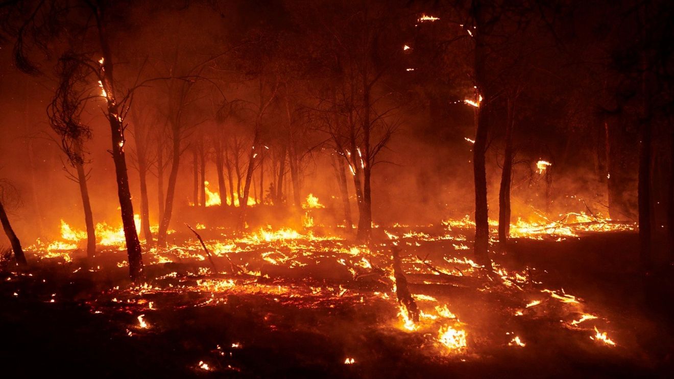 Șefa Protecţiei Civile din Spania: Incendiile „se apropie” de sfârșit / Sute de persoane şi numeroase sate sunt încă evacuate din cauza ameninţării incendiilor