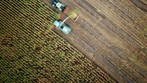 ANALIZĂ | Cine va mai produce hrana Europei? Radiografia unui schimb blocat de generații în agricultură / Cum e în România