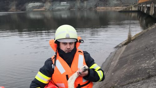 Cluj: Pompierii au intervenit pentru a salva o lebădă de pe lacul de acumulare din Florești
