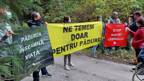 Decizia premierului Cîțu după bătaia aplicată activiștilor de mediu: grup de lucru la Ministerul Mediului