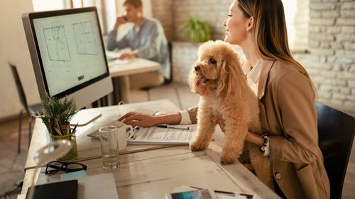 Cățeii la locul de muncă, noua terapie anti-burnout. Ce se întâmplă când angajații își petrec pauza de prânz în compania animalelor