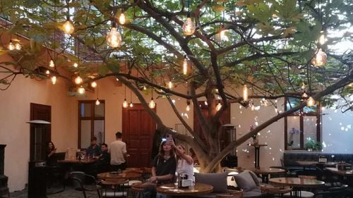 FOTO Călător în Banat: Timișoara instagramabilă. Traseu nou cu cele mai atractive obiective din oraș