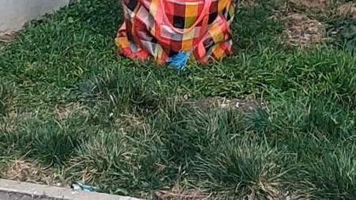 Sibiu: O cutie suspectă, abandonată în spatele unui bloc, a dus la intervenția specialiştilor SRI pentru efectuarea controlului pirotehnic