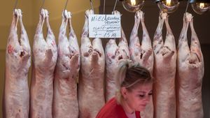 Prețurile la miel, în Arad, la nivelul de anul trecut sau chiar mai mici. Crescătorii se tem să nu rămână cu animalele, în contextul războiului din Orientul Mijlociu