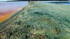 Ministrul Mediului: O problemă de mediu uriaşă din Maramureş este partea de iazuri neecologizate / Am găsit finanţare pentru lucrările de ecologizare de la Tăuţii de Sus, AFM va veni cu 23 de milioane de lei, iar restul de bani, de la Economie