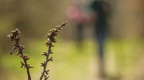 Dosar penal pentru agresiune sexuală, într-o excursie / Poliția s-a sesizat după ce doi băieţi ar fi fost abordaţi pentru „activităţi de natură sexuală”