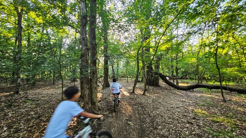 Piste de biciclete pe o lungime de peste 190 kilometri, pe digurile a cinci râuri din vestul României / Investiţie de aproape 80 milioane lei