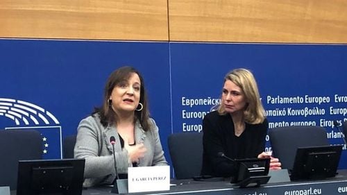 Lidera socialiștilor din Parlamentul European: Trei europarlamentari PSD români s-au abținut și unul a votat împotriva rezoluției care condamnă așa numitele zone libere de LGBT din Polonia