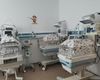 O femeie din Germania a născut gemeni pentru a treia oară, fără să fi folosit tratamente de fertilitate