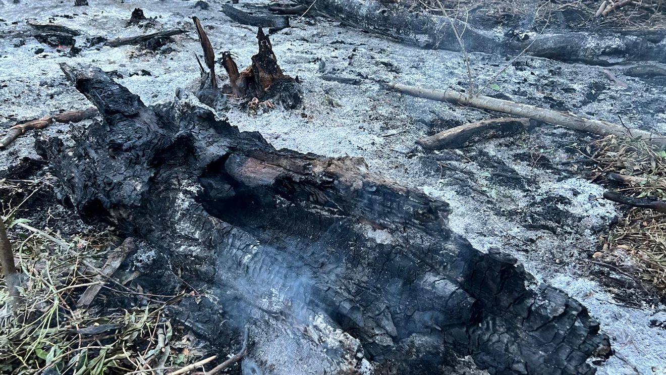 Fragmente dintr-o dronă rusească, găsite în sudul Deltei Dunării, aproape de brațul Sf. Gheorghe