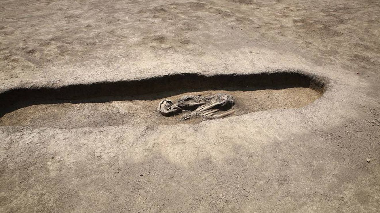 FOTO Descoperiri arheologice importante pe traseul viitoarei centuri ocolitoare a Timişoarei: Cea mai mare necropolă de incinerație din Banat, vase ceramice şi bijuterii