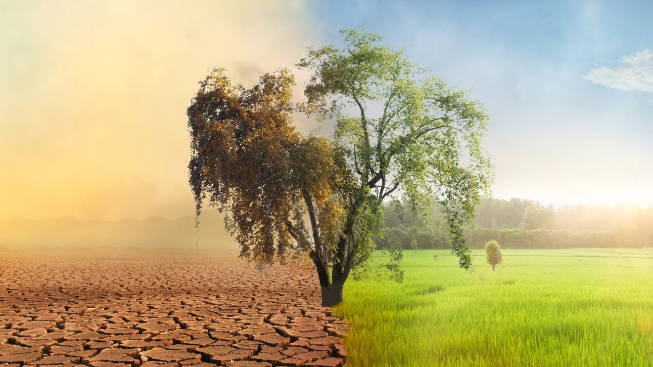 Un nou studiu asociază reducerea cantităţii de precipitaţii cu schimbările climatice şi practicile de utilizare a terenurilor