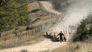 Calea laptelui, de Dumitru Budrala,  proiecție-eveniment la Astra Film Festiv (Parteneriat)