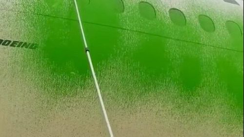 VIDEO Activiști Greenpeace au vopsit cu verde un avion al Air France pe aeroportul Charles de Gaulle din Paris