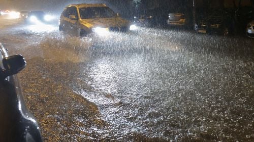 Bilanțul furtunii de joi seara din București și Ilfov: Peste 100 de copaci și 7 stâlpi de electricitate căzuți, 4 acoperișuri luate de vânt, circa 100 de mașini avariate și proape 400 de inundații