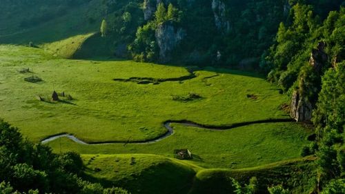 Organizațiile de mediu acuză guvernul că pregătește o lovitură pentru ariile protejate