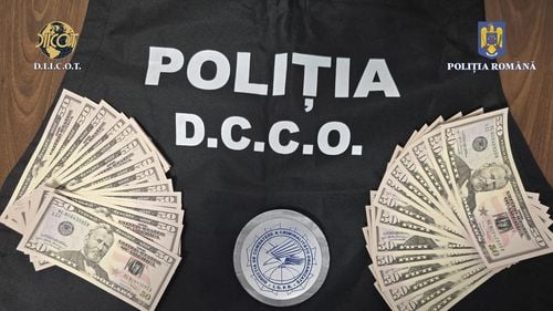 VIDEO FOTO Percheziții în județele Ilfov și Suceava la falsificatori de valută / Ar fi plasat dolari falși la 14 agenții de schimb valutar din șapte orașe din România, după ce în prealabil testaseră eficiența echipamentelor de autentificare