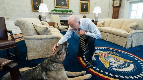 Champ, câinele soţilor Biden de 13 ani, a murit