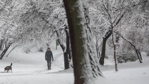 HARTĂ: Cod portocaliu de ninsori abundente până miercuri în cea mai mare parte a Moldovei şi în Carpaţii Meridionali şi Orientali / Vreme deosebit de rece la nivelul întregii ţări