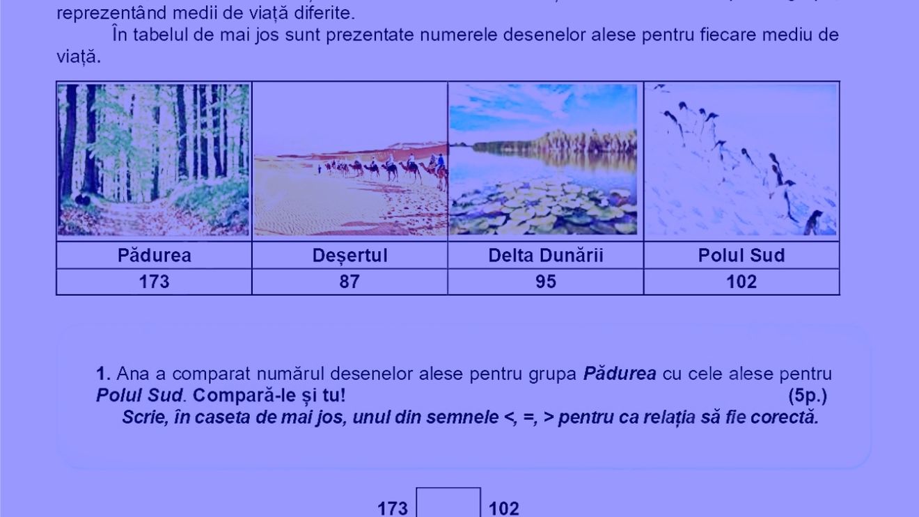 Subiectele de la Evaluarea Națională de clasa a II-a 2025, la Matematică și Explorarea mediului: „Câți pereți vor fi acoperiți cu 24 de desene din Deșert, știind că pe fiecare perete încap câte 6 desene?”
