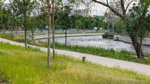 Pistă de biciclete, locuri de joacă și plajă pe malul Someșului, în Cluj /  Investiție de 23 de milioane de euro / Boc: ”Trebuie făcute drenuri, după care va fi adus nisipul”