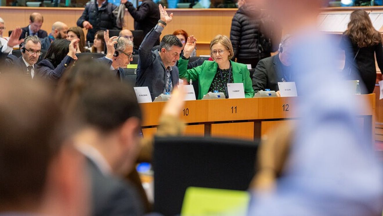 Primul vot privind cea mai mare reformă vamală a UE din 1968 - Comisia pentru piața internă a Parlamentului European