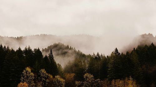 Un miliardar chinez este al doilea mare deţinător străin de teren din SUA