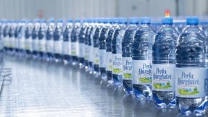 Perla Harghitei vrea să investească 25 milioane lei în tehnologie în 2023