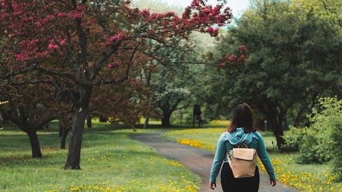 Clotilde Armand: Amendamentele propuse de senatorii PSD și PNL la Codul amenajării teritoriului favorizează „mafia imobiliară”. Construcțiile ilegale sunt băgate în legalitate. Zona verde poate să fie transformată în spațiu de locuințe