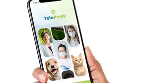 EXCLUSIV: TelePaws lansează în România primul produs de asigurare integrată pentru animale și se extinde în Italia. INTERVIU cu Dr. Ștefan Vâju, CEO & cofondator