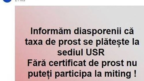 Europarlamentarul Maria Grapini îi jignește pe ”diasporeni”: Fără certificat de prost nu poți participa la miting