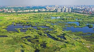 18 posturi sunt scoase la concurs, în cadrul Administraţiei Parcul Natural Văcăreşti