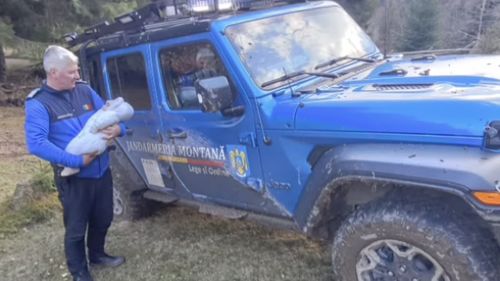 Patru turişti cu un bebeluş, rătăciţi pe un drum izolat de munte, au fost salvaţi de jandarmi