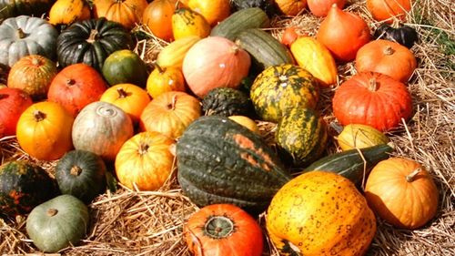 GastroWeekend | De la vinuri sofisticate și cafele de specialitate la streetfood și sarmale-vedetă. Ce pot face iubitorii de gust bun în București și în țară, în primul weekend din octombrie