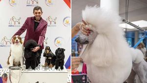 Meseria de frizer de animale, premiată la cel mai înalt nivel. Un groomer din Franța, desemnat cel mai bun din 200 de concurenți