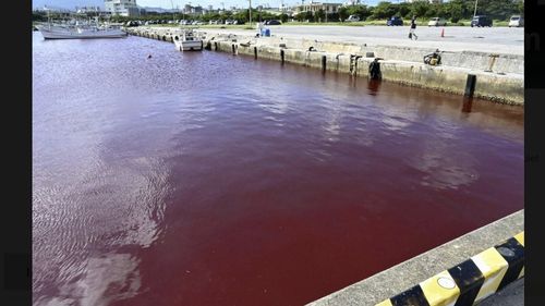 O fabrică de bere din Japonia a formulat scuze public după ce o scurgere a colorat apa mării în roșu