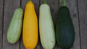 3 metode de conservare a dovleceilor pentru iarnă încercate și recomandate de un producător de legume bio
