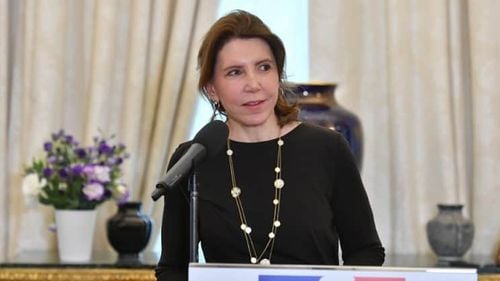 Ambasadoarea Franței la București, avertisment legat despre modificarea Codului de Procedură Penală: ”Poate afecta cooperarea judiciară a României cu celelalte state UE”