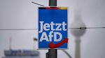 Partidul de extremă dreapta AfD își păstrează poziția de lider în Germania, în timp ce formațiunile aflate la guvernare pierd din susținere