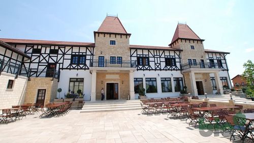O clinică din Timișoara s-ar putea muta într-o berărie /  Castelul Royal de la Moșnița Nouă e scos de vânzare la 4 milioane de euro / Consiliul Județean Timiș l-ar cumpăra cu 2 milioane