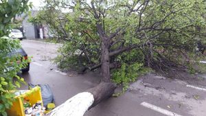 UPDATE | Bilanțul furtunii din București: 101 copaci și cinci stâlpi doborâți, 22 de străzi inundate și peste 140 de intervenții ale ISU / Circulația trenurilor, afectată în Complexul Feroviar București Nord