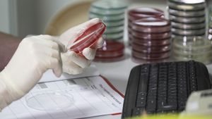 Israelul anunţă o descoperire majoră, după izolarea unui anticorp specific împotriva coronavirusului