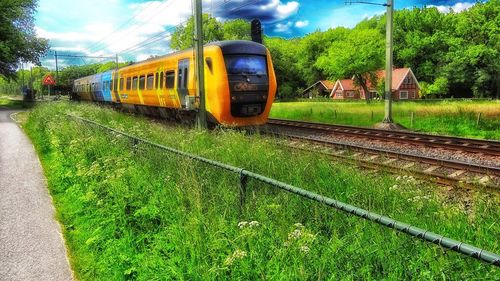 O pană de calculator a paralizat traficul feroviar în Ţările de Jos / Este afectată și circulaţia trenurilor internaţionale spre Amsterdam