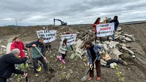 Protest pe șantierul IKEA din Iași / ”IKEA și furnizorii săi distrug ultimele oaze cu biodiversitate din România” / ”Compania nu ține cont nici de legile scrise, nici de căile nescrise ale naturii”